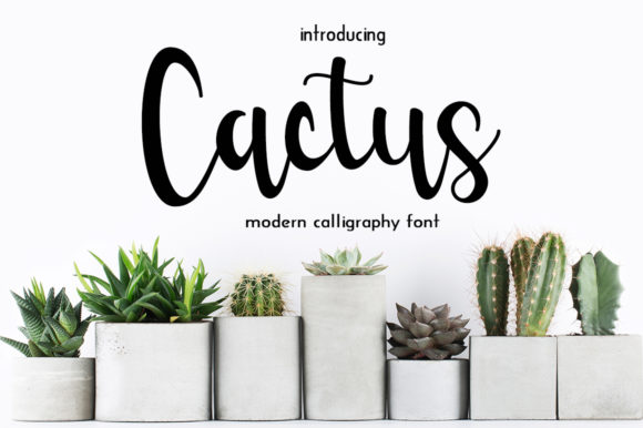 Cactus: A Balanced Look at This Elegant Handwritten Font
