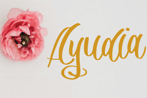 Choosing and Using Ayudia for Elegant, Handcrafted Design Results
