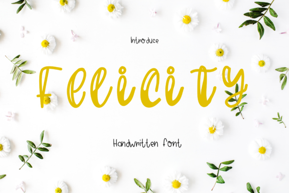 Felicity: The Handwritten Font That Feels Like a Creative Spark