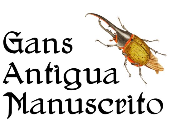 Finding the Right Handwritten Font: A Look at Gans Antigua Manuscrito