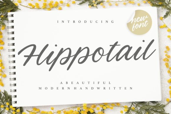 Hippotail: The Flowing Handwritten Font That Adds Timeless Elegance to Every Project