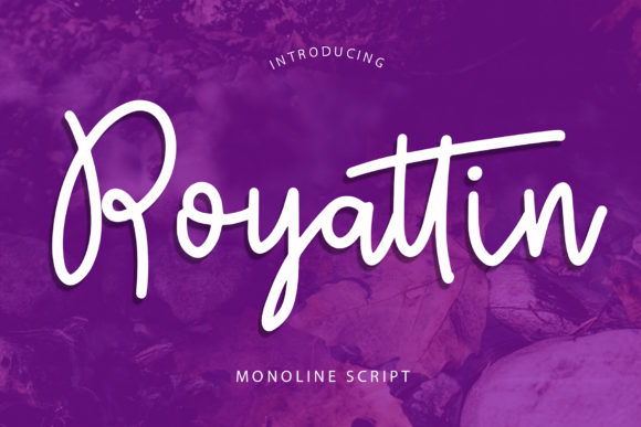 Royattin: A Neat Handwritten Font Welcoming Warmth